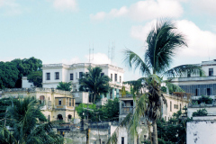 La Habana, La Víbora