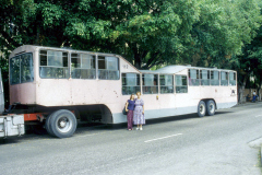 La Habana, "Camelito" bus