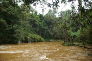 Sierra del Escambray, Parque Guanayara. Rio Melodioso