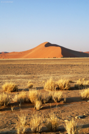 Sanddüne "Dune 45" in der Namib bei Sossusvlei