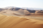 Sanddünen in der Namib beim Sossusvlei