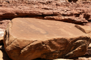 Petroglyphen bei Twyfelfontein
