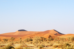 Sanddünen in der Namib bei Sossusvlei