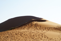 Sanddüne in der Namib beim Sossusvlei