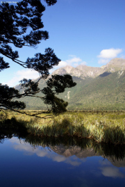 Mirror Lake zwischen Te Anau und Milford Sound