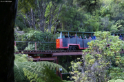 Driving Creek Railway bei Coromandel. Coromandel Halbinsel