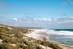 Westaustralien bei Kalbari