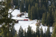 100 Jahre Chur - Arosa! Ge 4/4 II 625 mit dem "Alpine Classic Pullmann Express" unterhalb Litzirüti