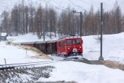 Priv. Fotofahrt mit Bernina-Krokodil und TW2 im Schneegestöber