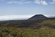 Kilimanjaro NP. Marangu-Route, Tag 2