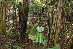 Chagga-Kinder in einer Bananenplantage. Marangu
