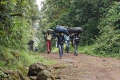 Träger bringen Gepäck von Touristen runter zum Gate. Marangu-Route, Tag1