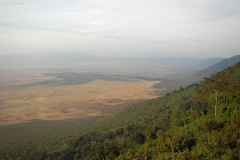 Ngorongoro. Südl. Kraterrand