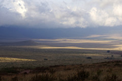 Am Ngorongoro-Kraterrand