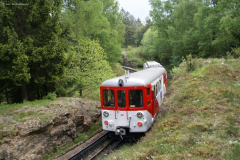Mont Blanc-Express. Transports de Martigny et Régions TMR, Martigny - Châtelard (MC). Unterhalb Salvan