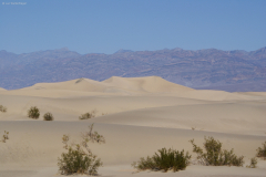 Sanddünen, Death Valley NP, CA