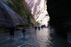 The Narrows, Zion NP, UT